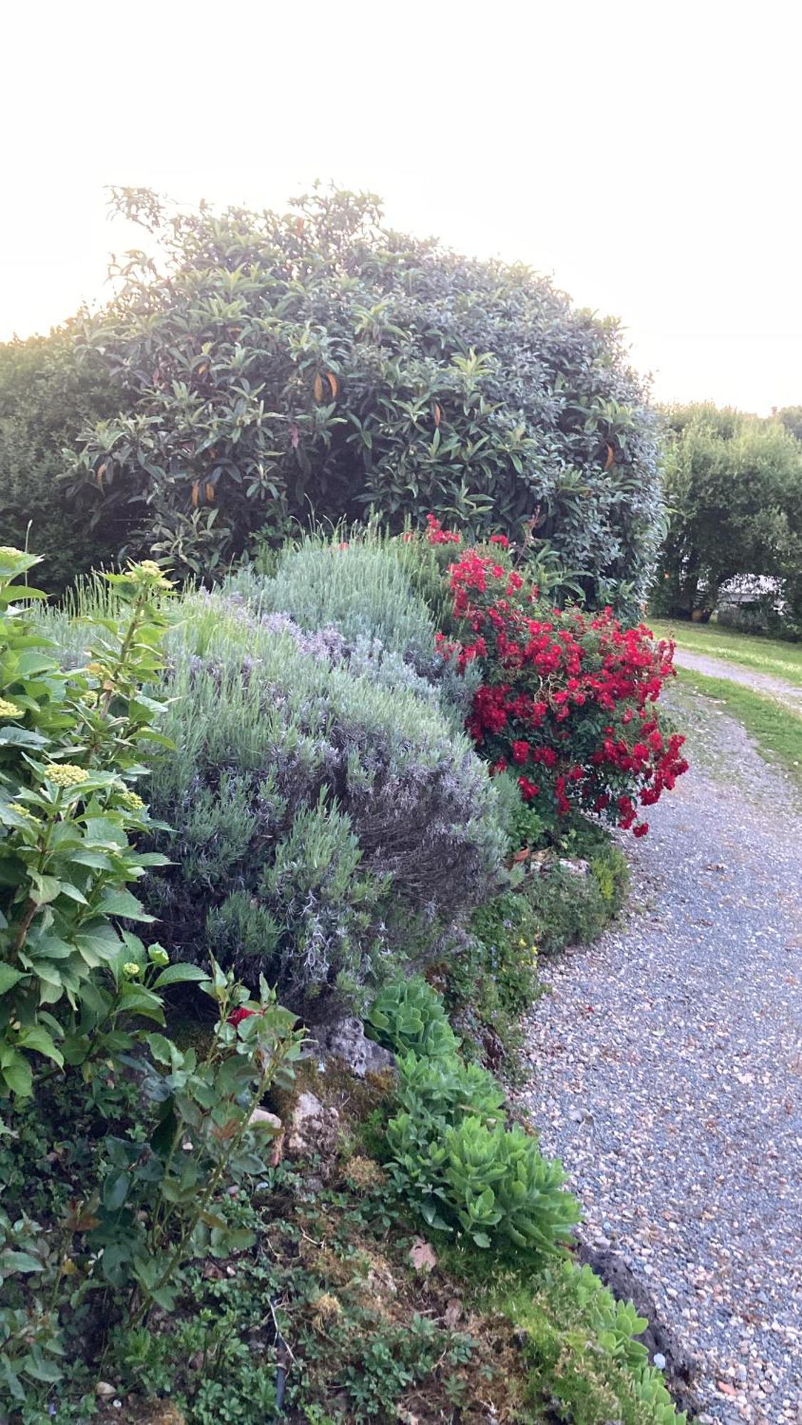 Au Bras D'Argent Bed & Breakfast Berthez Exterior photo